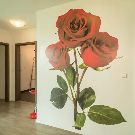 Rose Apartament Sipplingen